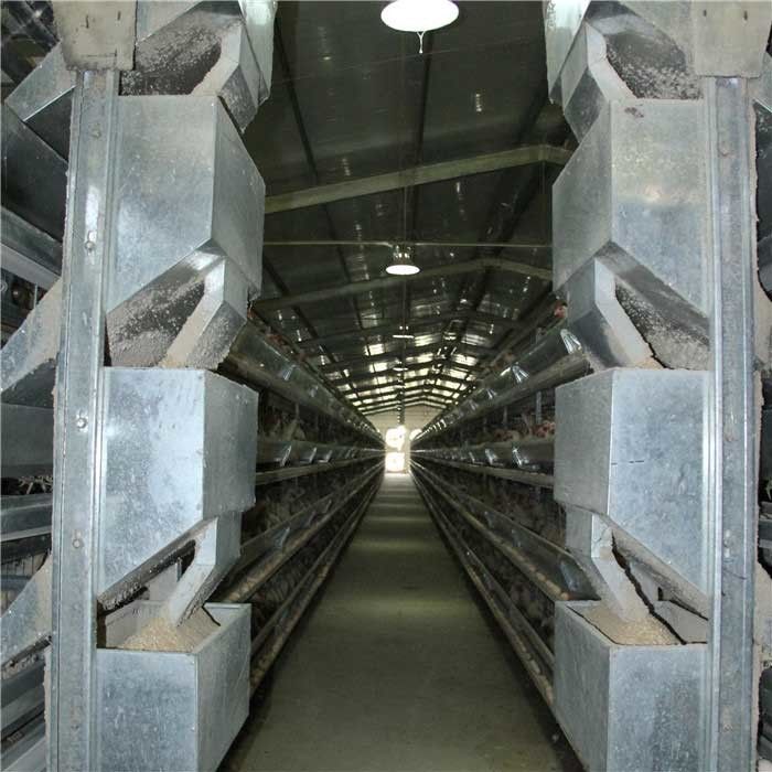 Thiết bị trang trại gà thịt khung cứng cần thiết cho chăn nuôi gia cầm Trọng lượng nặng