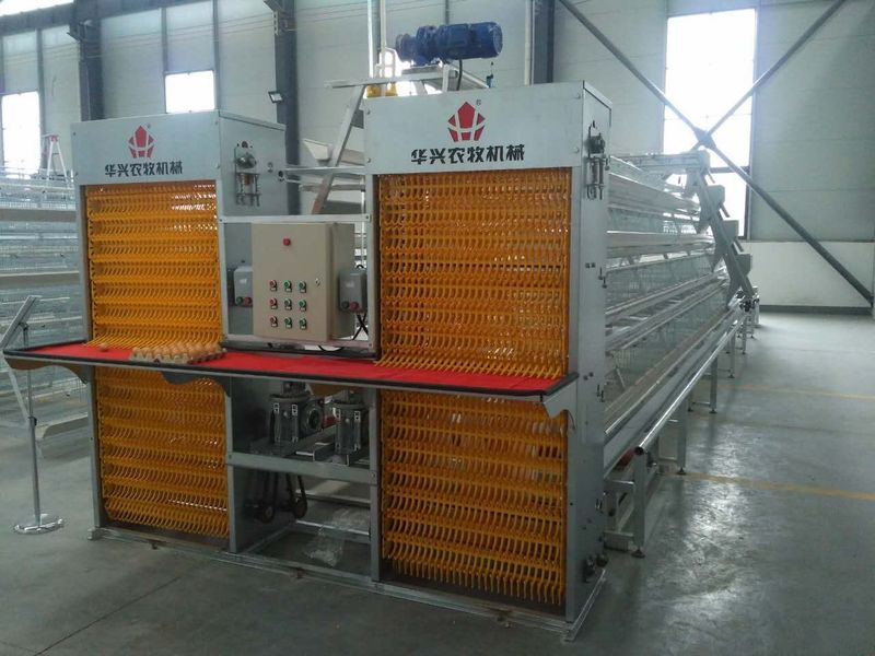 Henan Huaxing Poultry Equipments Co.,Ltd. dây chuyền sản xuất nhà máy