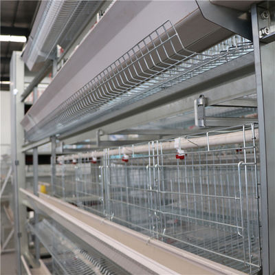 4 cửa cấp 2 cửa loại H Lồng nuôi bằng thép mạ kẽm nóng Xử lý bề mặt