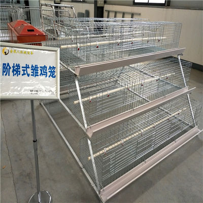 Một loại lồng ấp gà mạ kẽm nóng cho trang trại gà