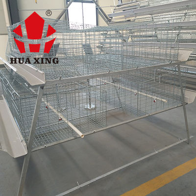 Một loại nuôi gà thịt loại 3 trong chuồng, thiết bị trang trại gà thịt màu bạc