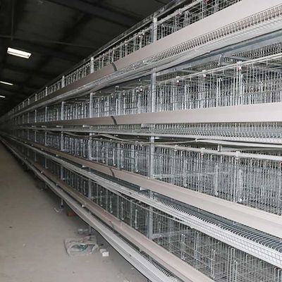Hệ thống chuồng trại chăn nuôi gia cầm, chuồng nuôi loại gà