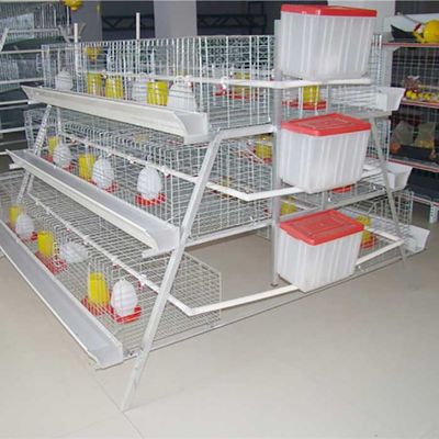 Thiết bị nuôi gia cầm trong lồng gà kiểu A loại 198