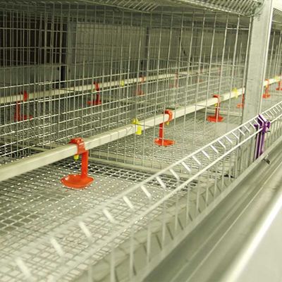 Q235 Thép cứng Chick lồng lồng nhiều cửa Hiệu suất cao cho trang trại