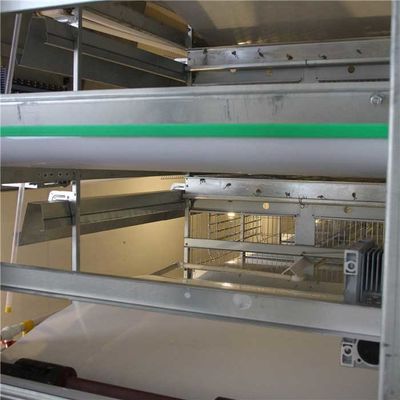 Thiết bị vệ sinh gia cầm 4 tầng, máy nuôi gà tự động