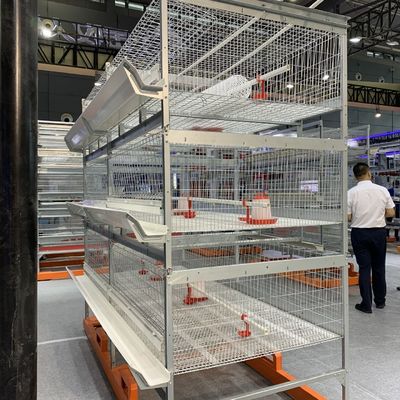 Phòng thí nghiệm 24 Cửa 264 Chim Chuồng Gà Gia cầm