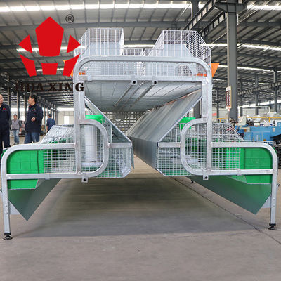 Lồng động vật bằng kim loại mạ kẽm nóng Lồng gia cầm Trại thỏ cái Trang trại chăn nuôi thỏ Lồng nuôi ở kenya