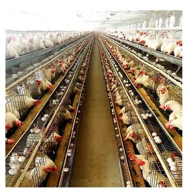 Mạ kẽm nóng Q235 A Loại Lồng lớp 20 năm Hệ thống uống tự động