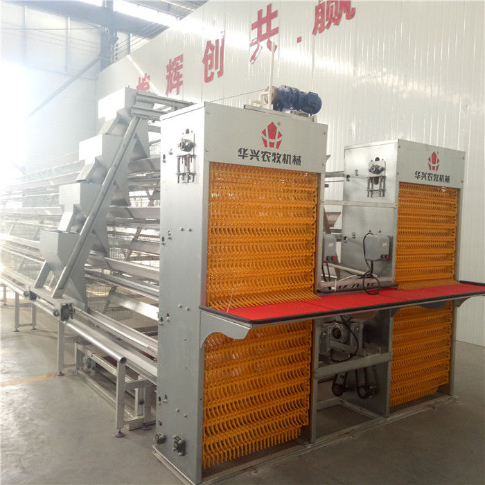 3/4/5 Tầng Một Lồng Gà Lớp Loại A Sử dụng trong Trang trại Quy mô lớn
