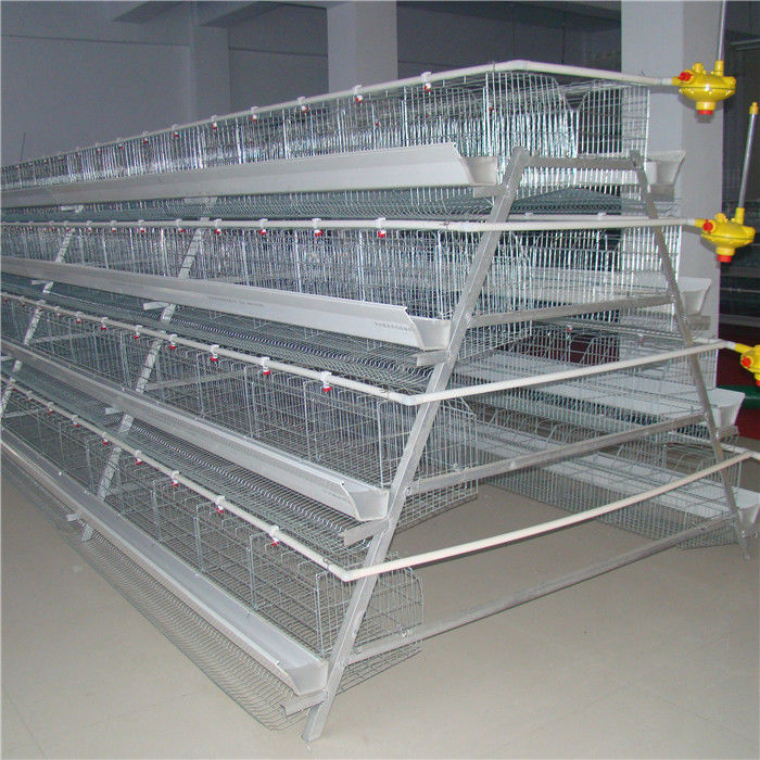 Nuôi gà 3 tầng Một lớp khung Hệ thống phân chuồng tự động
