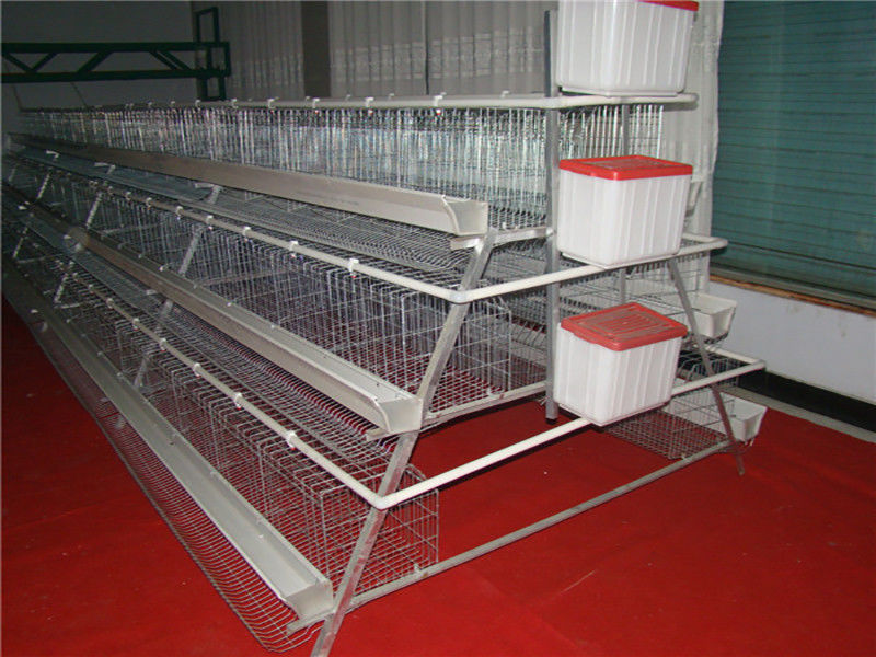 Nuôi gà 3 tầng Một lớp khung Hệ thống phân chuồng tự động