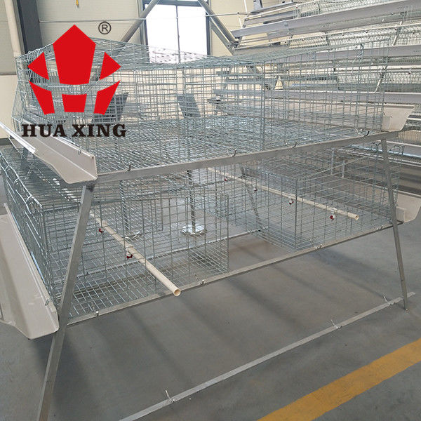 Một loại nuôi gà thịt loại 3 trong chuồng, thiết bị trang trại gà thịt màu bạc