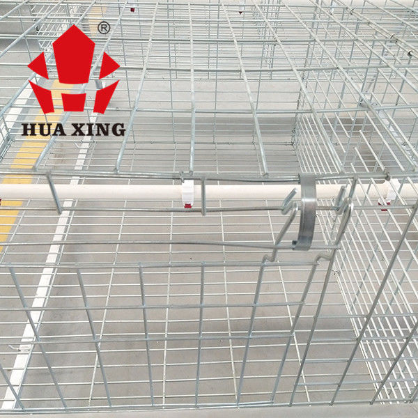 Một loại nuôi gà thịt loại 3 trong chuồng, thiết bị trang trại gà thịt màu bạc