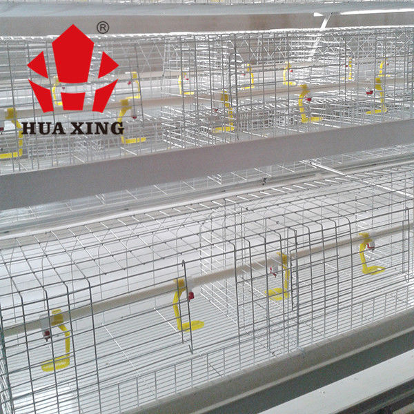 Một loại nuôi gà thịt loại 3 trong chuồng, thiết bị trang trại gà thịt màu bạc