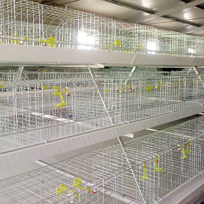 Lồng gà bằng kim loại 0,75kw, lồng điều khiển tự động chạy bằng pin cho gia cầm