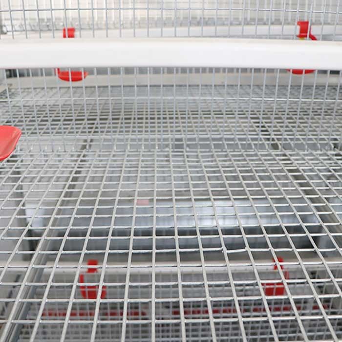 Thiết bị chăn nuôi gia cầm ắc quy, chuồng gà con H loại 192 bền