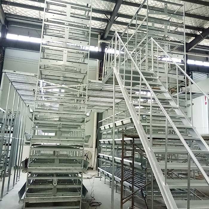 4/5/6/8 Lớp H Lớp gà Lớp lớp Chuồng 120 * 60 * 70 Cm