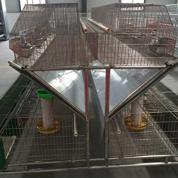 50 - 80 chuồng nuôi thỏ con, thỏ hai tầng thân thiện với môi trường