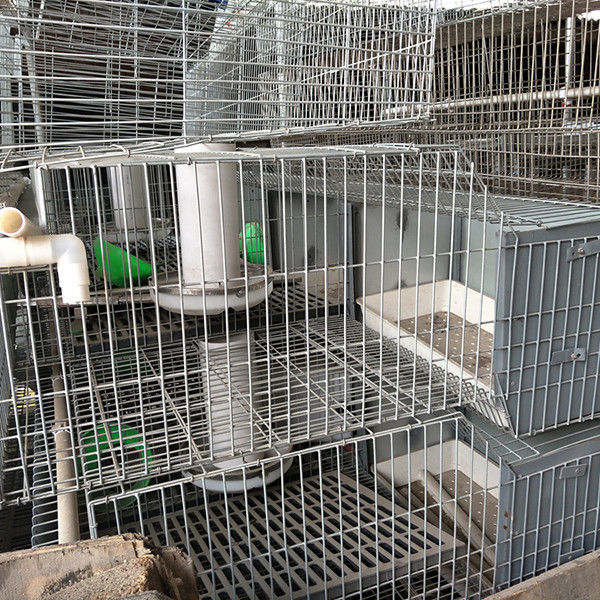 24 tế bào Pin hoạt động Trang trại thỏ Lồng Hai tầng dễ dàng làm sạch bền