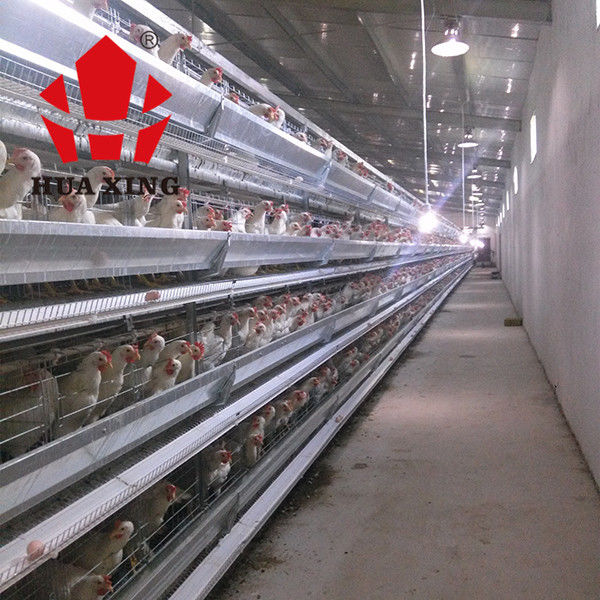 Nhà sản xuất lồng 90-160 Chim Mạ kẽm nóng Thiết bị nuôi Hen Lồng gà Lớp