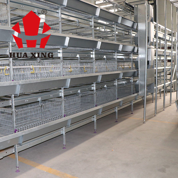 Gà thịt 96 con Lồng 3 tầng với hệ thống cho ăn tự động