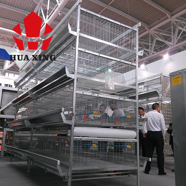 Gà thịt 96 con Lồng 3 tầng với hệ thống cho ăn tự động