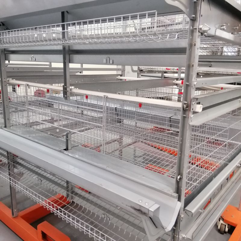 Nhà máy sản xuất lồng vịt tự động bền Lồng vịt thương mại cho trứng