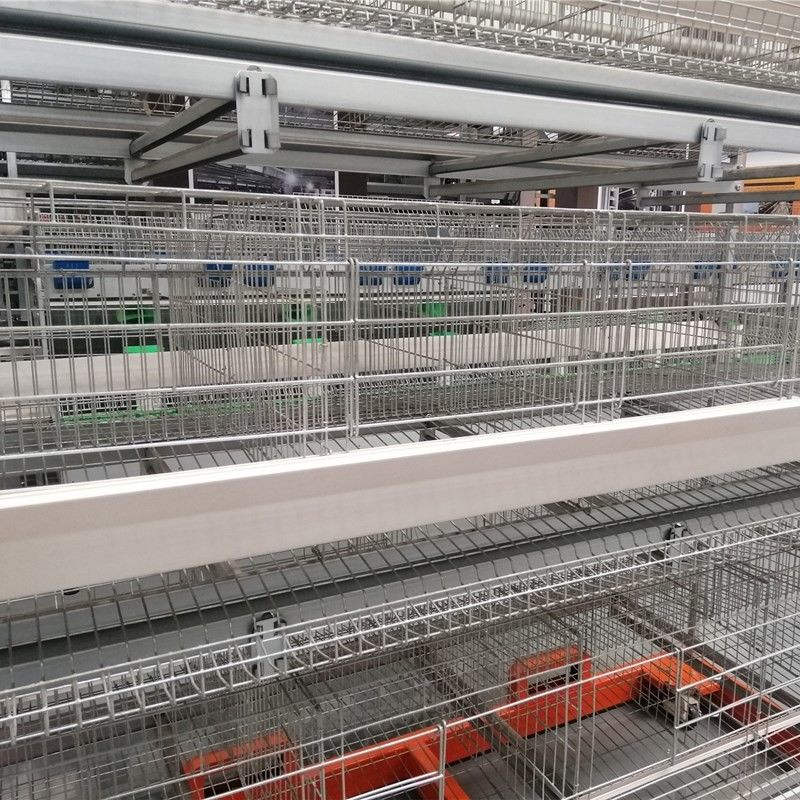 Thiết bị trang trại chăn nuôi gia cầm theo lớp Khung hình chữ U Hệ thống lồng gà 3 tầng dùng pin cho trang trại đẻ trứng