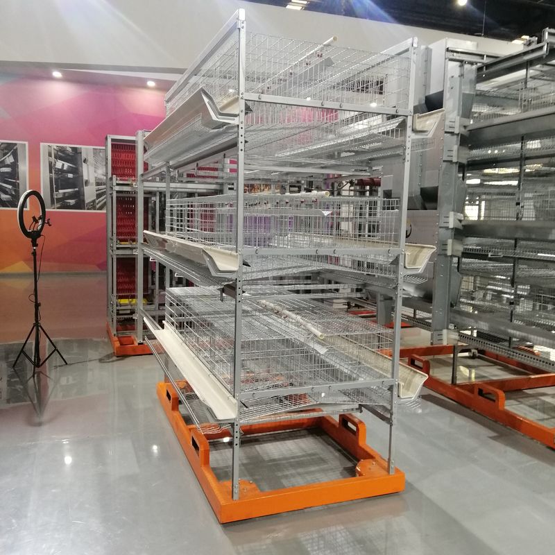 Thiết bị trang trại chăn nuôi gia cầm theo lớp Khung hình chữ U Hệ thống lồng gà 3 tầng dùng pin cho trang trại đẻ trứng