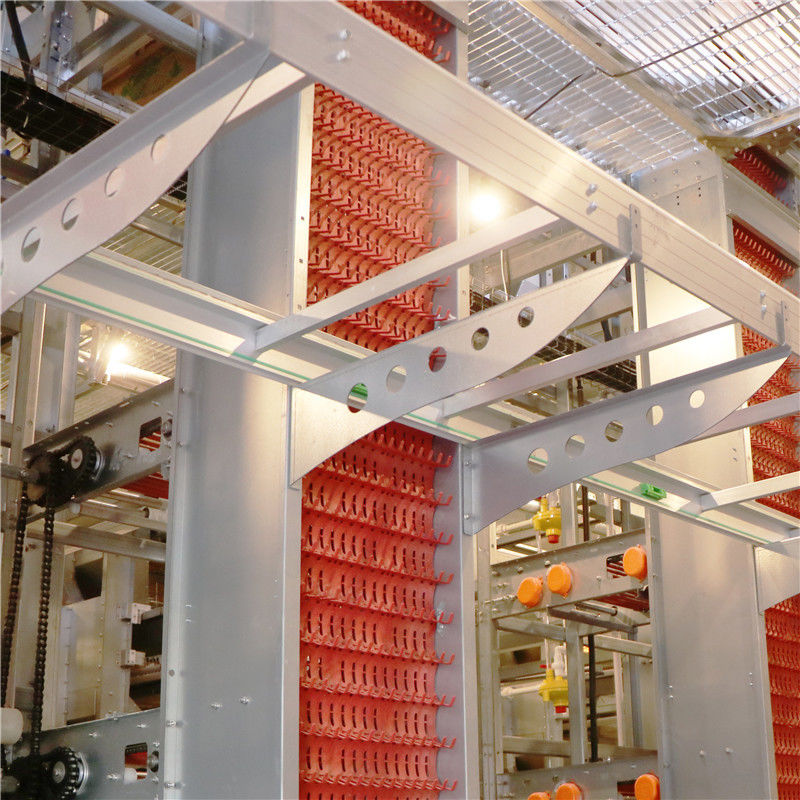 4 tầng 8 cửa Lồng gà tự động cho các lớp Dây thép Q235