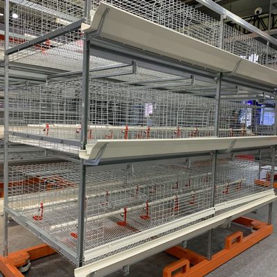 Thiết bị trang trại chăn nuôi gia cầm theo lớp Khung hình chữ U Hệ thống lồng gà 3 tầng dùng pin cho trang trại đẻ trứng